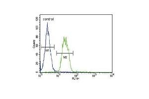S6A12 Antibody (N-term) (ABIN654460 and ABIN2844193) flow cytometric analysis of MDA-M cells (right histogram) compared to a negative control cell (left histogram). (SLC6A12 抗体  (N-Term))