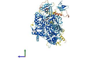 AlphaFold protein structure predicition of Human Recombinant PLCG2 Protein, UniprotID P16885