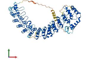 Protein Structure (PS) image for Ankyrin Repeat and SOCS Box Containing 14 (ASB14) (AA 1-587) protein (His tag) (ABIN7552427)