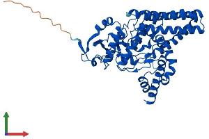 Protein Structure (PS) image for Fatty Acid Desaturase 2 (FADS2) (AA 1-444) protein (His tag) (ABIN7553905)