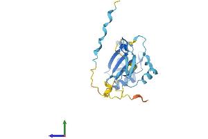 AlphaFold protein structure predicition of Mouse Recombinant Rcan2 Protein, UniprotID Q9JHG2