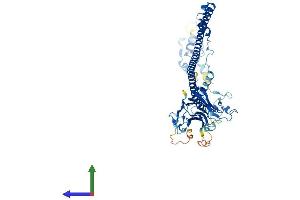 AlphaFold protein structure predicition of Mouse Recombinant Trim6 Protein, UniprotID Q8BGE7 (TRIM6 Protein (AA 1-488) (His tag))