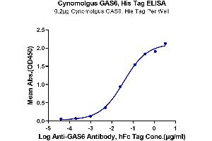 ELISA image for Growth Arrest-Specific 6 (GAS6) (AA 31-637) protein (His tag) (ABIN7274696)