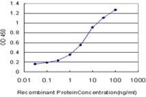 Detection limit for recombinant GST tagged FH is approximately 0. (FH 抗体  (AA 33-510))