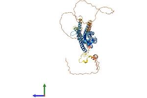 Protein Structure (PS) image for Solute Carrier Family 30 (Zinc Transporter), Member 1 (SLC30A1) (AA 1-507) protein (His tag) (ABIN7545839)