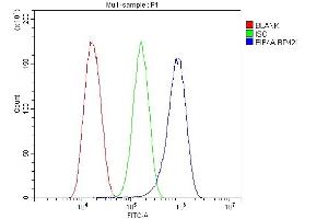 Flow Cytometry analysis of U87 cells using anti-EIF4A antibody (ABIN7601309).