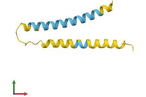 Protein Structure (PS) image for Neuronatin (NNAT) (AA 1-81) protein (Fc Tag) (ABIN7549771)