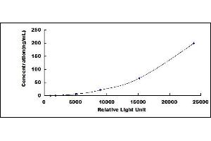 ELISA image for Complement Component 5a (C5a) CLIA Kit (ABIN1081333)
