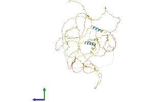 AlphaFold protein structure predicition of Mouse Recombinant Amer2 Protein, UniprotID Q8CCJ4