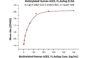 ELISA image for Angiotensin I Converting Enzyme 2 (ACE2) protein (Fc Tag,AVI tag,Biotin) (ABIN6952458)