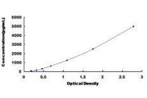 ELISA image for Malate Dehydrogenase 1, NAD (Soluble) (MDH1) ELISA Kit (ABIN423291) (MDH1 ELISA 试剂盒)