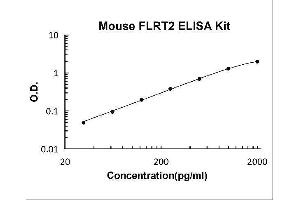 Fibronectin Leucine Rich Transmembrane Protein 2 (FLRT2) ELISA Kit