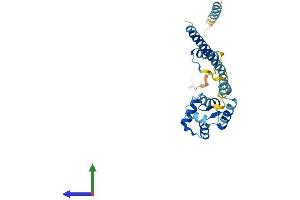 Protein Structure (PS) image for EF-Hand Domain Family, Member D1 (EFHD1) (AA 1-239) protein (His tag) (ABIN7547319)