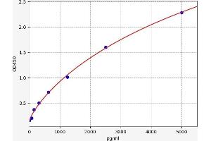 Typical standard curve (ALDH5A1 ELISA 试剂盒)