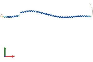 Protein Structure (PS) image for Spermatogenesis Associated 24 (SPATA24) (AA 1-205) protein (His tag) (ABIN7546381)