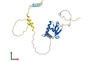 Protein Structure (PS) image for Spi-C Transcription Factor (Spi-1/PU.1 Related) (SPIC) (AA 1-248) protein (His tag) (ABIN7546384)