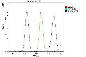 Flow Cytometry analysis of HeLa cells using anti-TEK antibody (ABIN7600762). (TEK 抗体  (AA 23-616))