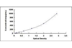 ELISA image for S100 Calcium Binding Protein A8 (S100A8) ELISA Kit (ABIN414827)