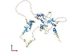 Protein Structure (PS) image for Zinc Finger Protein 394 (ZNF394) (AA 1-561) protein (His tag) (ABIN7545463)