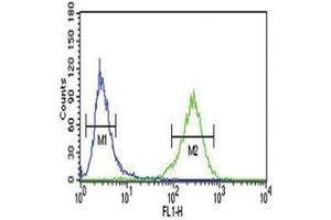 Flow Cytometry (FACS) image for anti-Aryl Hydrocarbon Receptor (AHR) (AA 555-582) antibody (ABIN3030025)