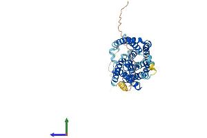 Protein Structure (PS) image for Solute Carrier Family 10 (Sodium/bile Acid Cotransporter Family), Member 1 (SLC10A1) (AA 1-362) protein (His tag) (ABIN7562193)