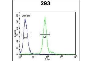 ATG14 Antibody (Center) (ABIN650664 and ABIN2849827) flow cytometric analysis of 293 cells (right histogram) compared to a negative control cell (left histogram). (ATG14 抗体  (AA 162-190))