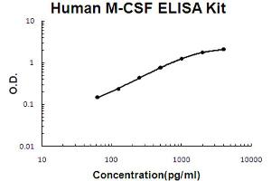 Human M-CSF Accusignal ELISA Kit Human M-CSF AccuSignal ELISA Kit standard curve. (M-CSF/CSF1 ELISA 试剂盒)