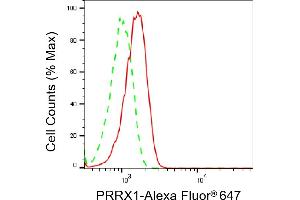 Flow cytometric analysis of PRRX1 expression in C2C12 cells using PRRX1 antibody (ABIN7799728), 1:2,000).