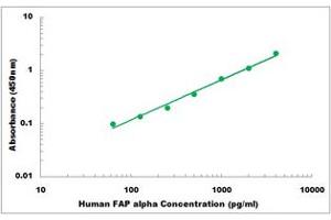 Representative Standard Curve (FAP ELISA 试剂盒)