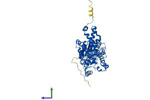 Protein Structure (PS) image for STEAP Family Member 4 (STEAP4) (AA 1-470) protein (His tag) (ABIN7560248)