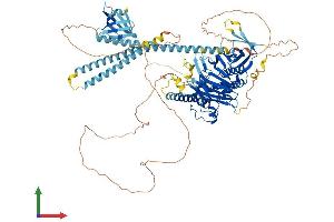 Protein Structure (PS) image for Oxysterol Binding Protein 2 (OSBP2) (AA 1-916) protein (His tag) (ABIN7550535)