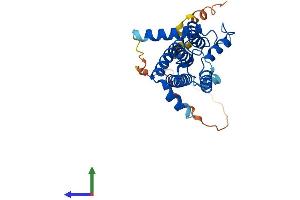 Protein Structure (PS) image for Phosphatidic Acid Phosphatase Type 2 Domain Containing 3 (PPAPDC3) (AA 1-271) protein (His tag) (ABIN7560025)