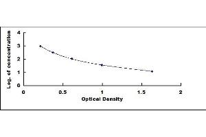Typical standard curve