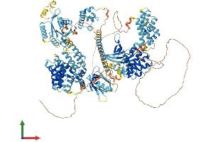 Protein Structure (PS) image for Mitogen-Activated Protein Kinase Kinase Kinase 15 (MAP3K15) (AA 1-1331) protein (His tag) (ABIN7561947)