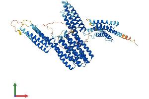 Protein Structure (PS) image for Catenin (Cadherin-Associated Protein), alpha-Like 1 (CTNNAL1) (AA 1-734) protein (His tag) (ABIN7546818)