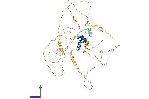 AlphaFold protein structure predicition of Human Recombinant IRX4 Protein, UniprotID P78413