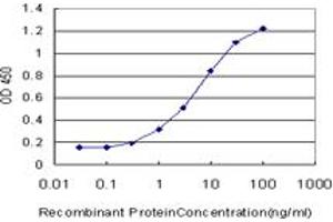 Detection limit for recombinant GST tagged FGL1 is approximately 0. (FGL1 抗体  (AA 19-312))