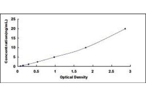 Typical standard curve (BRAF ELISA 试剂盒)
