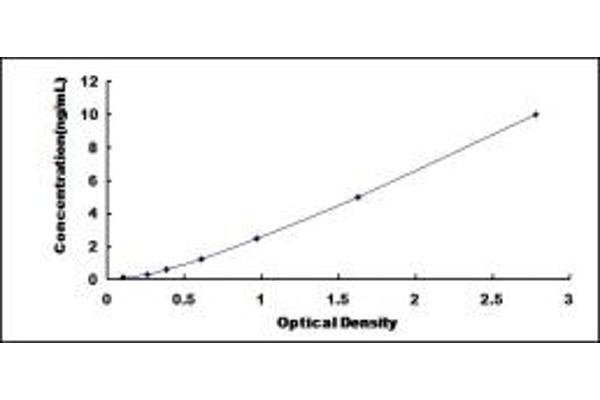 TRPM6 ELISA 试剂盒