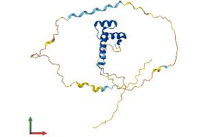 AlphaFold protein structure predicition of Mouse Recombinant Hoxb4 Protein, UniprotID P10284