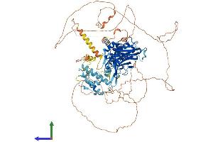 Protein Structure (PS) image for DnaJ (Hsp40) Homolog, Subfamily C, Member 6 (DNAJC6) (AA 1-913) protein (His tag) (ABIN7552519)