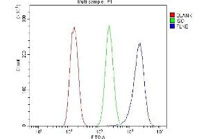 Flow Cytometry analysis of U20S cells using anti-Filamin B/FLNB antibody (ABIN7601607). (FLNB 抗体  (AA 397-701))