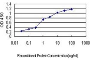 Detection limit for recombinant GST tagged UBB is approximately 0. (Ubiquitin B 抗体  (AA 1-76))