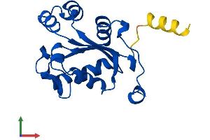 AlphaFold protein structure predicition of Mouse Recombinant Nme3 Protein, UniprotID Q9WV85 (NME3 Protein (AA 1-169) (His tag))