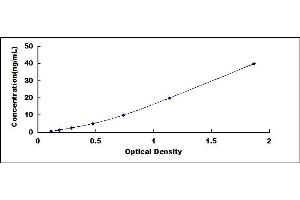 Typical standard curve (CYP2C9 ELISA 试剂盒)