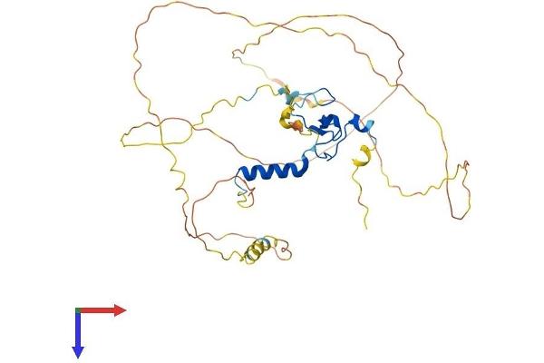 PHF23 Protein (AA 1-401) (His tag)