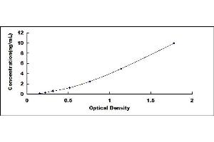 Typical standard curve (C16orf89 ELISA 试剂盒)