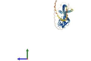 AlphaFold protein structure predicition of Human Recombinant SCARA5 Protein, UniprotID Q6ZMJ2