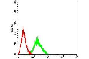 Flow cytometric analysis of HL-60 cells using CHRM5 mouse mAb (green) and negative control (red). (CHRM5 抗体)