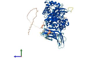 Protein Structure (PS) image for Endo-beta-N-Acetylglucosaminidase (ENGASE) (AA 1-743) protein (His tag) (ABIN7547389)